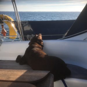 Relaxing at sea
