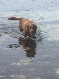 2nd Mate cooling off!