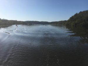 Afternoon on a lazy river