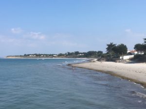 Beach next to marina