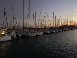 A forest of masts.